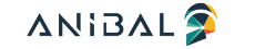Anibal Bilişim logo